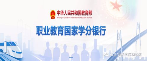 財經(jīng)系學(xué)子在1+x財務(wù)共享服務(wù)職業(yè)技能等級證書初級考試中斬獲佳績，凸顯信息技術(shù)咨詢服務(wù)領(lǐng)域卓越人才培養(yǎng)成果